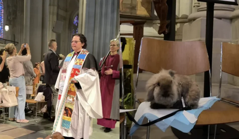 NYC pet blessing video for the Feast of St. Francis