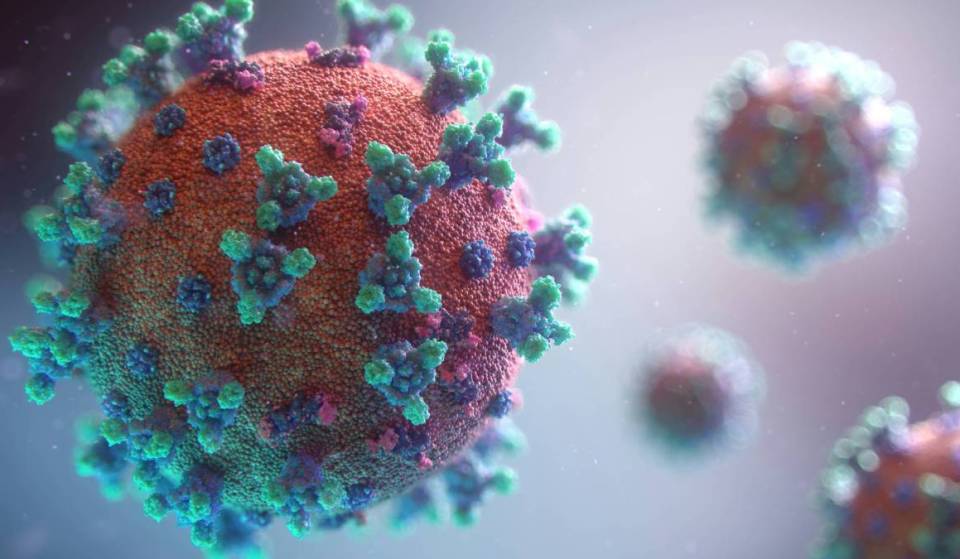 Nova York declara a primeira emergência de desastre por sarampo nos EUA, enquanto os casos aumentam rapidamente em todo o estado — o que você precisa saber sobre essa doença “altamente contagiosa”
