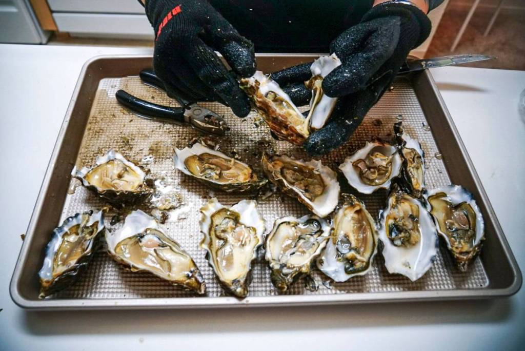 iemand die oesters opent