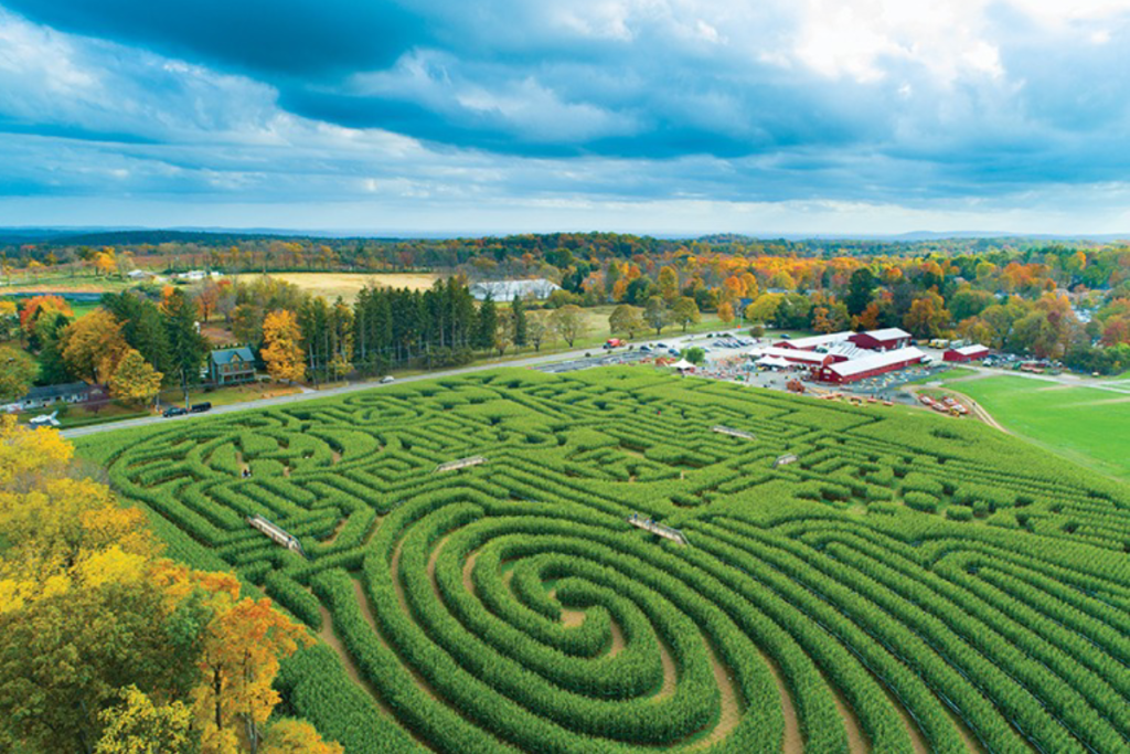 New Jersey’s largest corn maze is just 2 hours from NYC — and it’s a 10-acre fall adventure