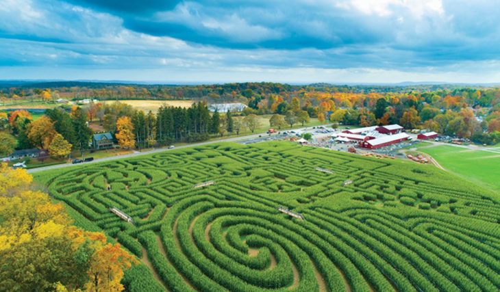 New Jersey’s largest corn maze is just 2 hours from NYC — and it’s a 10-acre fall adventure