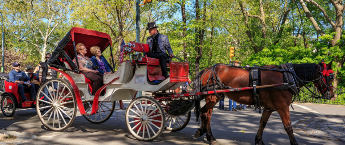 Behörden stimmen nächste Woche über das Verbot von Pferdekutschen im Central Park ab