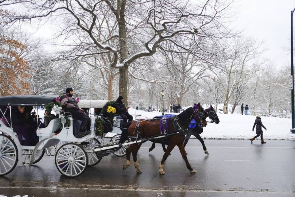 Pferdekutsche im Central Park im Schnee