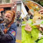 Video van de Tompkins Square Halloween-hondenparade in NYC