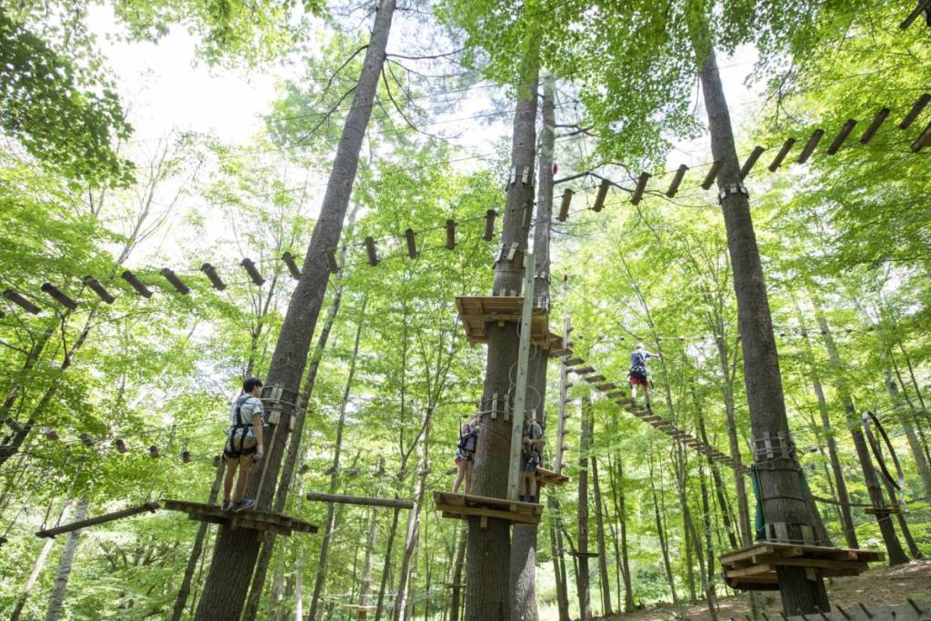 Parque de aventuras aéreas del Catamount Mountain Resort