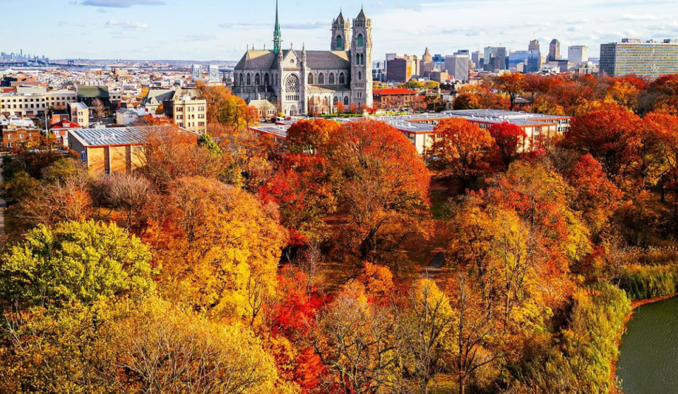 En primavera, alberga la mayor colección de cerezos en flor de todo el país; ahora, este parque de 360 acres, a solo 30 minutos de Nueva York, está a punto de alcanzar su máximo esplendor otoñal, con senderos sinuosos, vistas panorámicas al lago y puentes históricos.