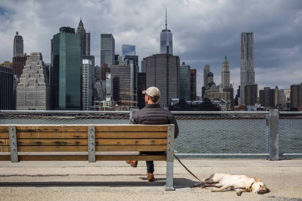 Mann und Hund sitzen vor der Skyline von NYC im Hintergrund
