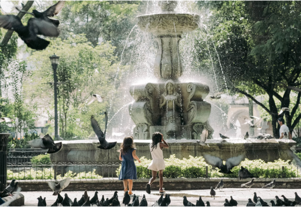 Este es el barrio más asequible de Nueva York, según un nuevo estudio: hay pisos de 3 habitaciones por 2.666 dólares al mes cerca del zoológico del Bronx y del Jardín Botánico de Nueva York