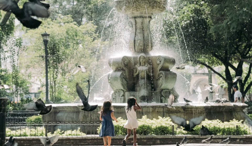 Secondo un nuovo studio, questo è il quartiere più conveniente di New York: appartamenti con 3 camere da letto a 2.666 dollari al mese vicino allo zoo del Bronx e al Giardino Botanico di New York