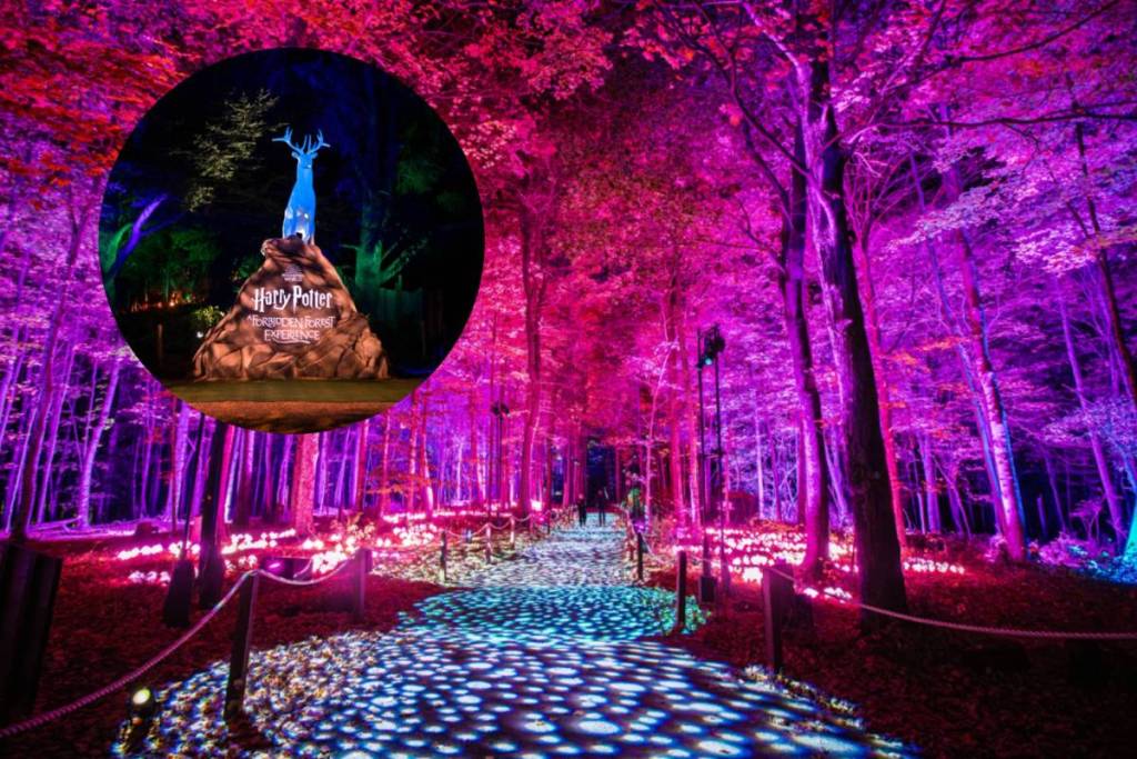 In 1933, FDR launched a program that went on to plant more than 3 billion trees; 93 years later, the Westchester park named for him is home to a glowing Harry Potter Forbidden Forest