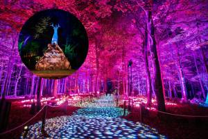 In 1933, FDR launched a program that went on to plant more than 3 billion trees; 93 years later, the Westchester park named for him is home to a glowing Harry Potter Forbidden Forest