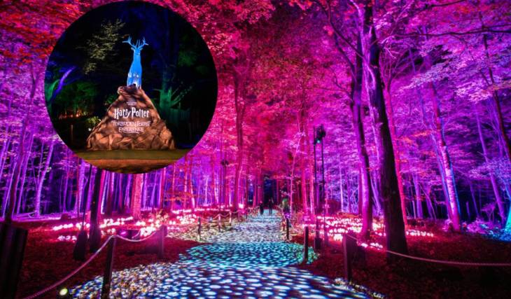 In 1933, FDR launched a program that went on to plant more than 3 billion trees; 93 years later, the Westchester park named for him is home to a glowing Harry Potter Forbidden Forest