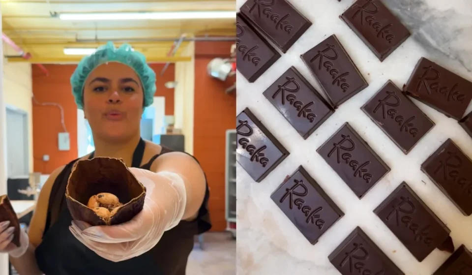 Raaka Chocolate bean-to-bar making classes in Brooklyn