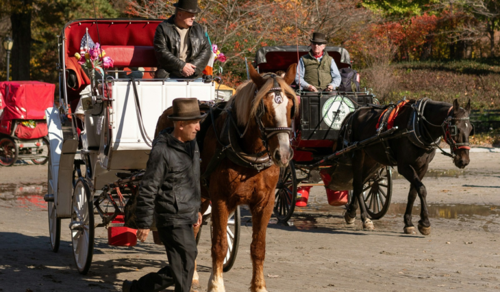 Breaking: NYC officially bans Central Park horse-drawn carriages after 168 years in historic vote