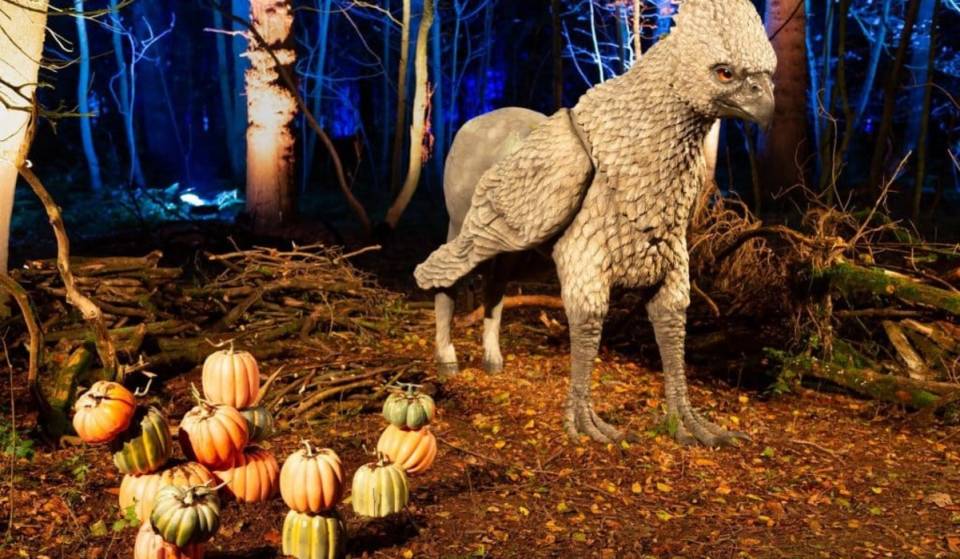 19 exciting things to do with kids in NYC this fall