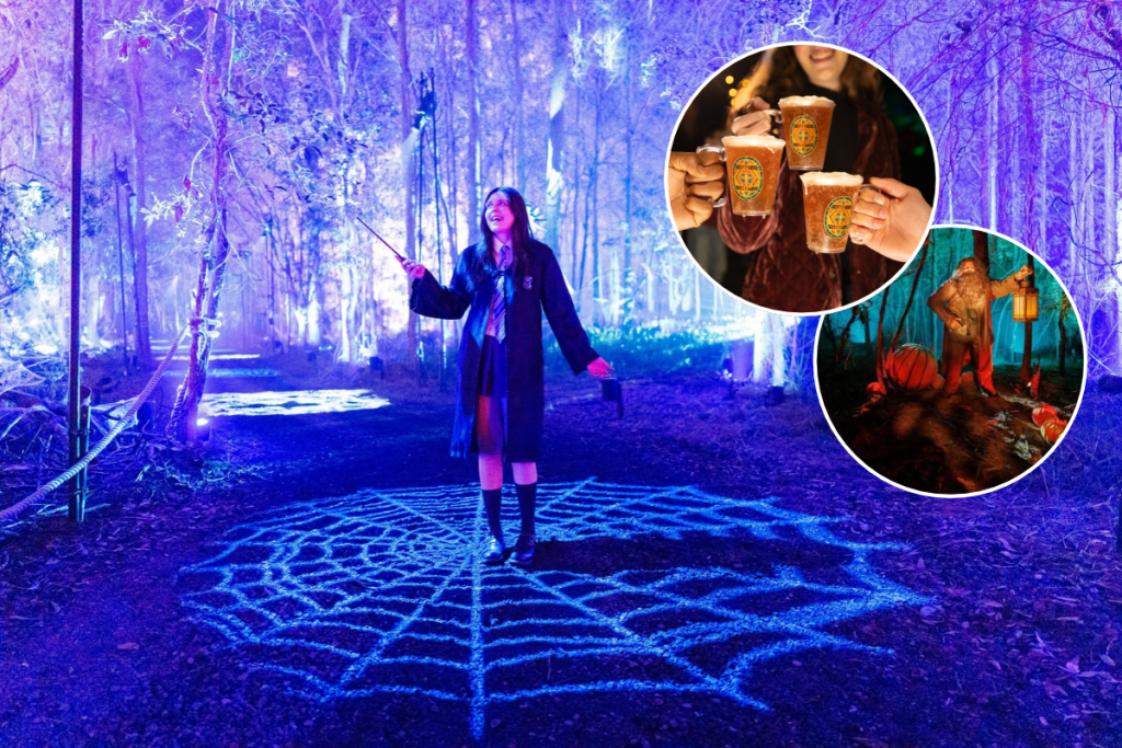 Harry Potter: A Forbidden Forest Experience