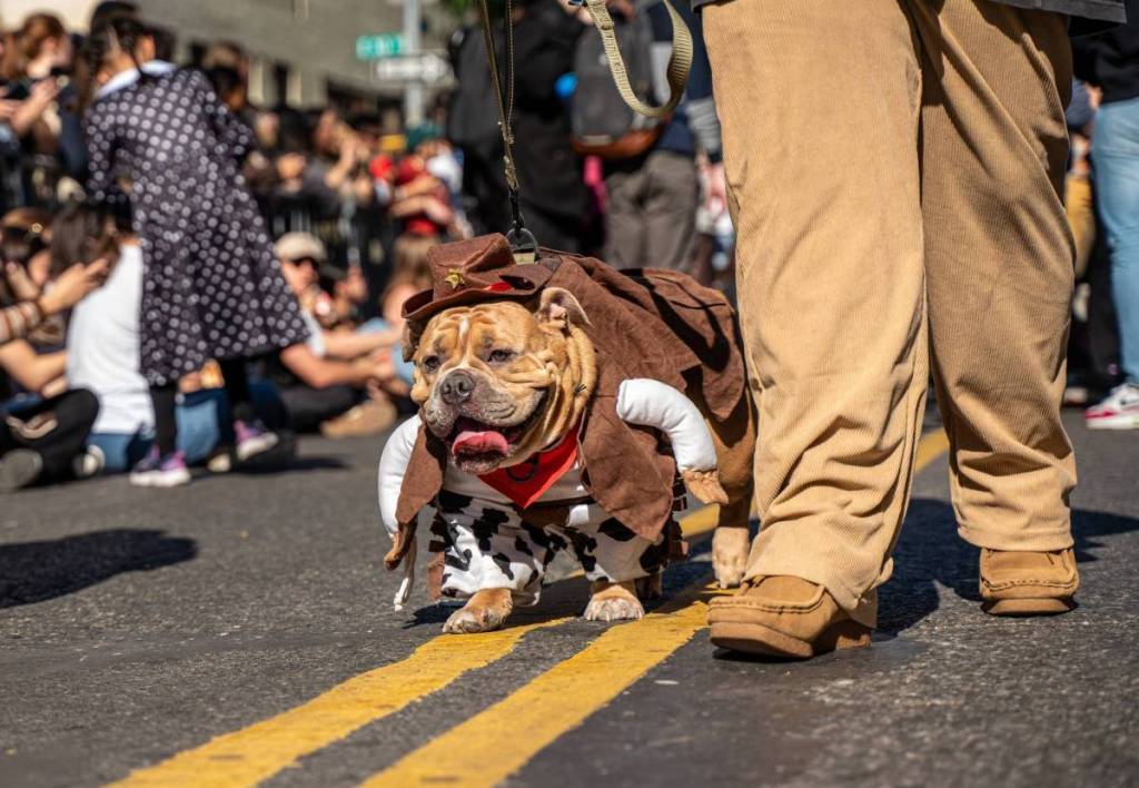 From haunted carousels to garden trick-or-treating: NYC parks host 30+ free Halloween events for kids across every borough this Saturday