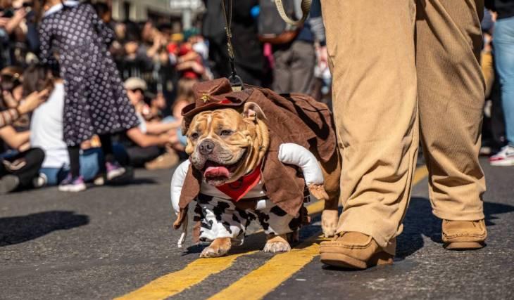 From haunted carousels to garden trick-or-treating: NYC parks host 30+ free Halloween events for kids across every borough this Saturday