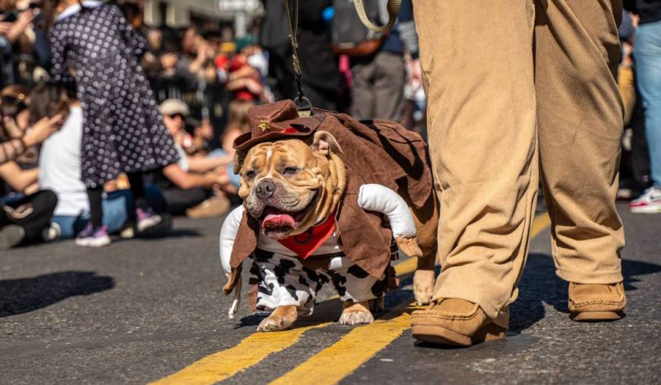 From haunted carousels to garden trick-or-treating: NYC parks host 30+ free Halloween events for kids across every borough this Saturday