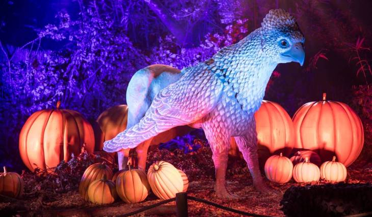  „Harry Potter: A Forbidden Forest Experience“ ist jetzt 40 Meilen von NYC entfernt geöffnet – mit über 4.000 Lichtern, lebensgroßen Kreaturen und interaktiven Zaubersprüchen mit dem Zauberstab