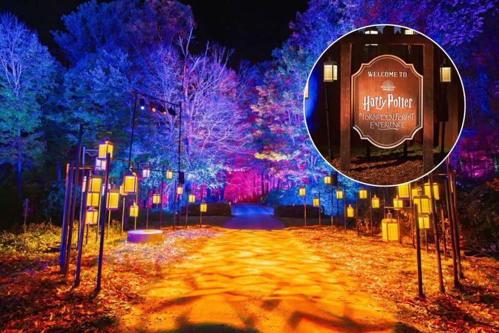Este parque de Westchester, que alberga la piscina más grande de los parques estatales de Nueva York, recupera su emblemático «Bosque Prohibido» de Harry Potter tras cuatro años.