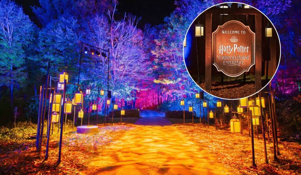 Sede da maior piscina de um parque estadual de Nova York, esse parque de Westchester está trazendo de volta sua icônica Floresta Proibida de Harry Potter depois de quatro anos