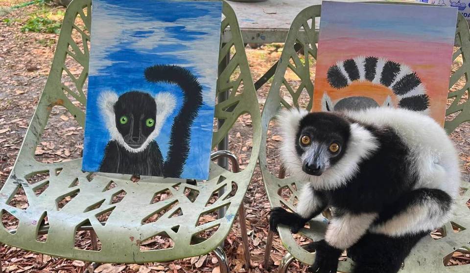 This Central Florida Wildlife Sanctuary Is Home To Over 250 Exotic Animals – Here’s How To Plan Your Visit