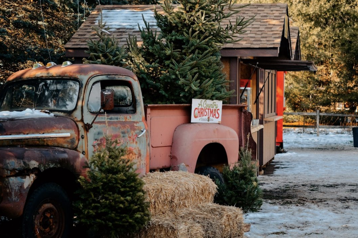Saunders Farm's A Country Christmas Opens Next Weekend