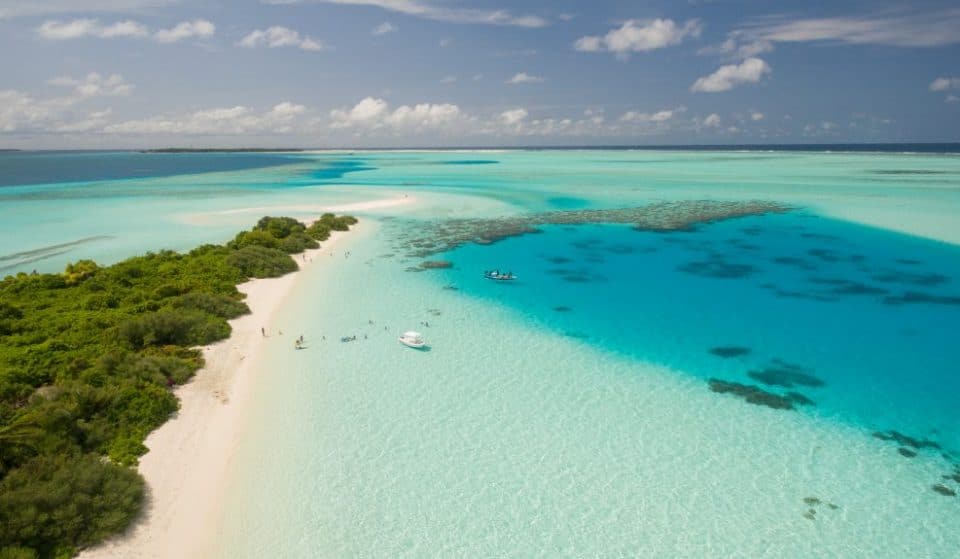 A Resort In The Maldives Is In Need Of A ‘Barefoot Bookseller’ To Run Their Bookshop