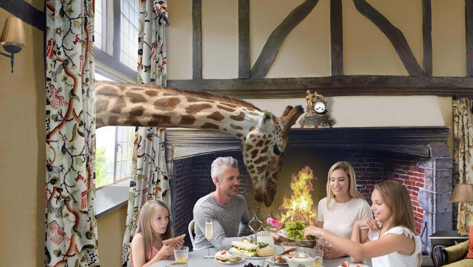 A Hotel Where Guests Dine Next To Giraffes Is Set To Open In The UK