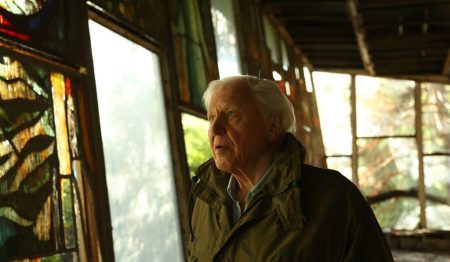 A Brand New David Attenborough Documentary Is Coming To Netflix Next Week