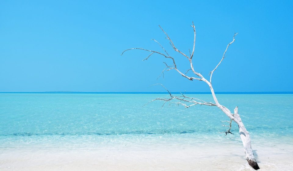 This Hotel Is Offering Free Stays In Dreamy Locations To Fully Vaccinated Australians