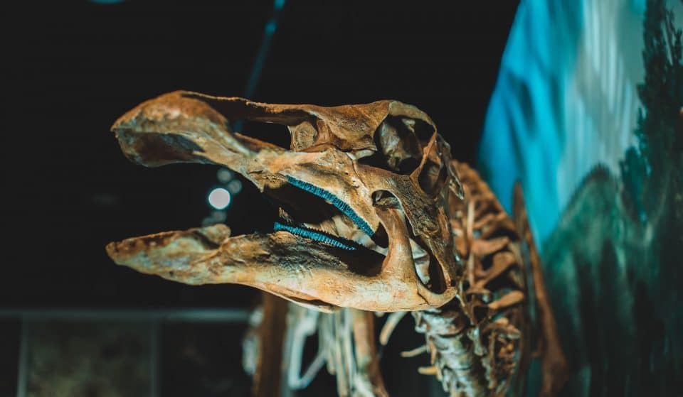 Enjoy A Bevvy Amongst The Dinosaurs At This Pop-Up Bar