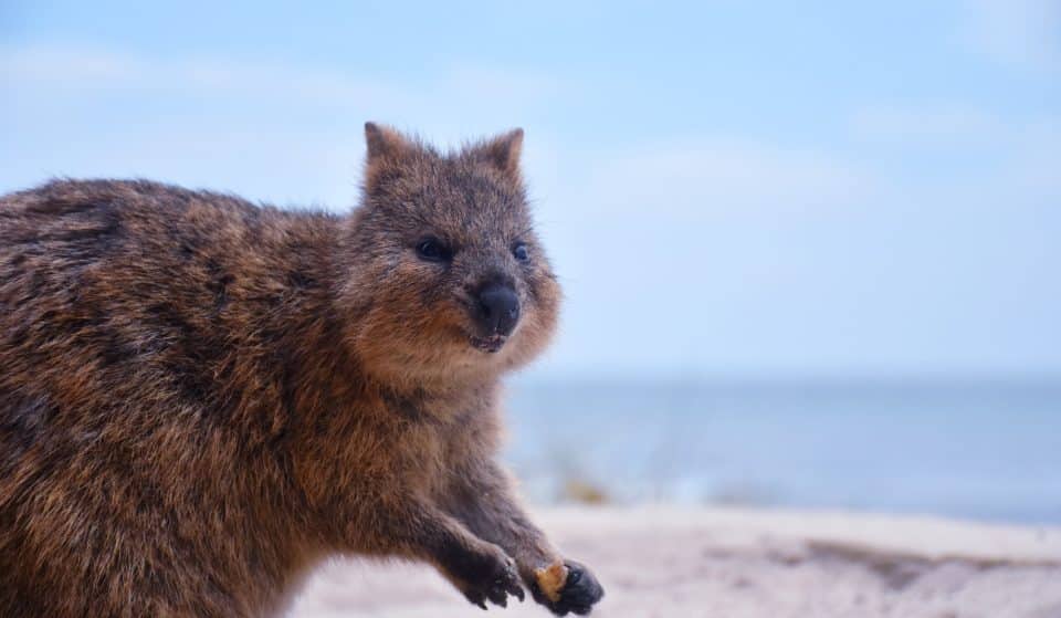 These Are ‘The Most Perth Things’ That’ve Happened To Your Fellow Perthians
