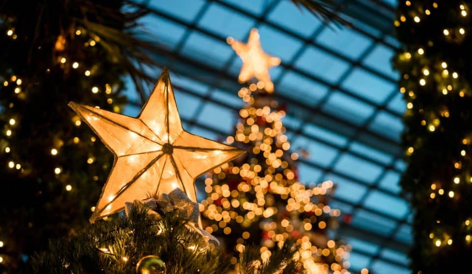 Perth’s Biggest Christmas Tree Is Going Up And Santa Is Set To Abseil The Mammoth Greenery