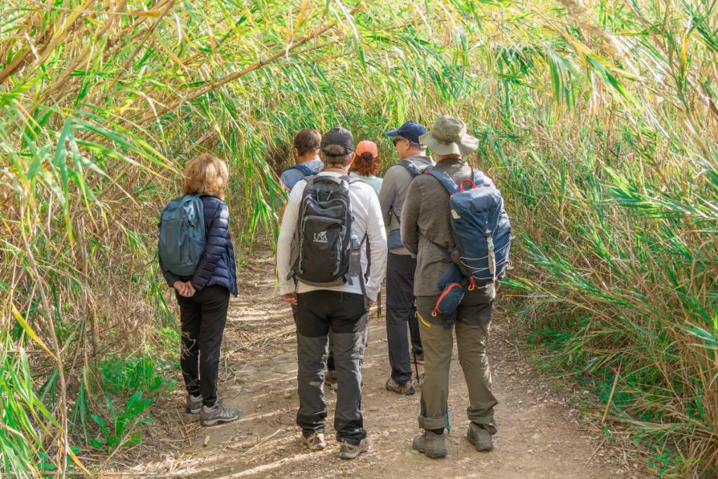 Forget the pub: Here are the top 10 alcohol-free things to do in Perth