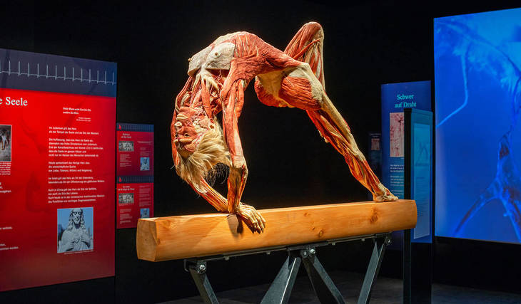 Visit BODY WORLDS And Support People With Diabetes With Your Ticket Purchase