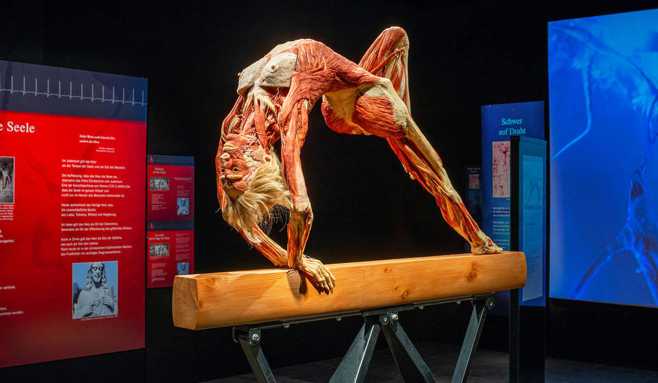Meet Your Inner Self At The Groundbreaking BODY WORLDS Exhibition