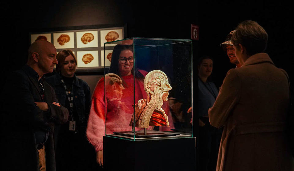 We Visited The Inspiring BODY WORLDS: The Anatomy Of Happiness And It Changed Our Perspective On Life