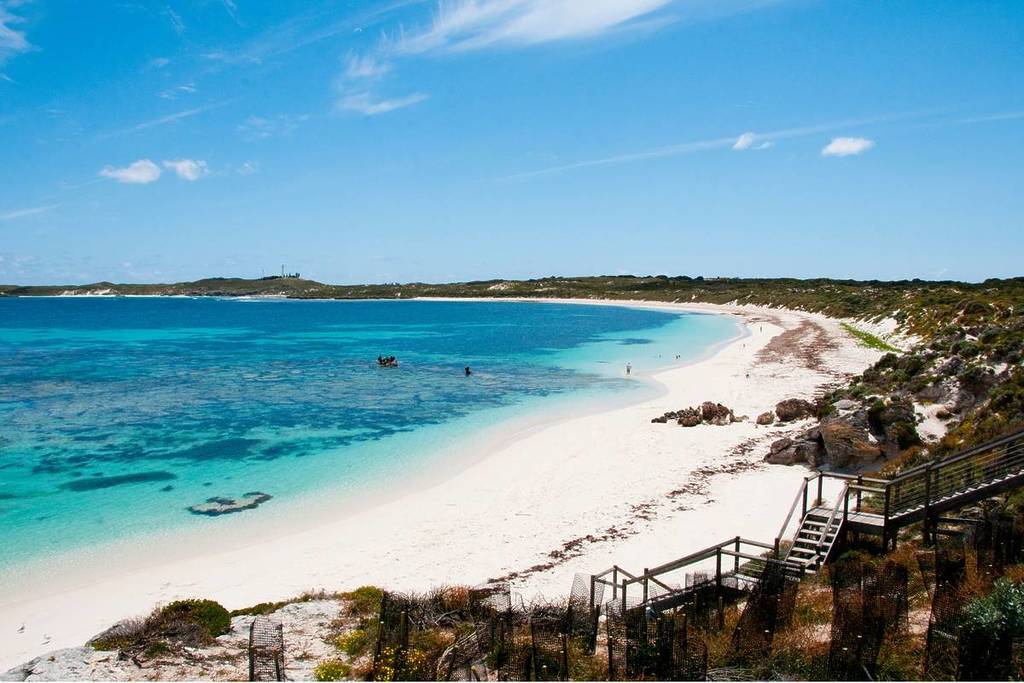 The image showcases a beach (at Rottnest Island) with clear blue waters, and white sand, outlined by mossy rocks. Corals can be seen underneath the water.