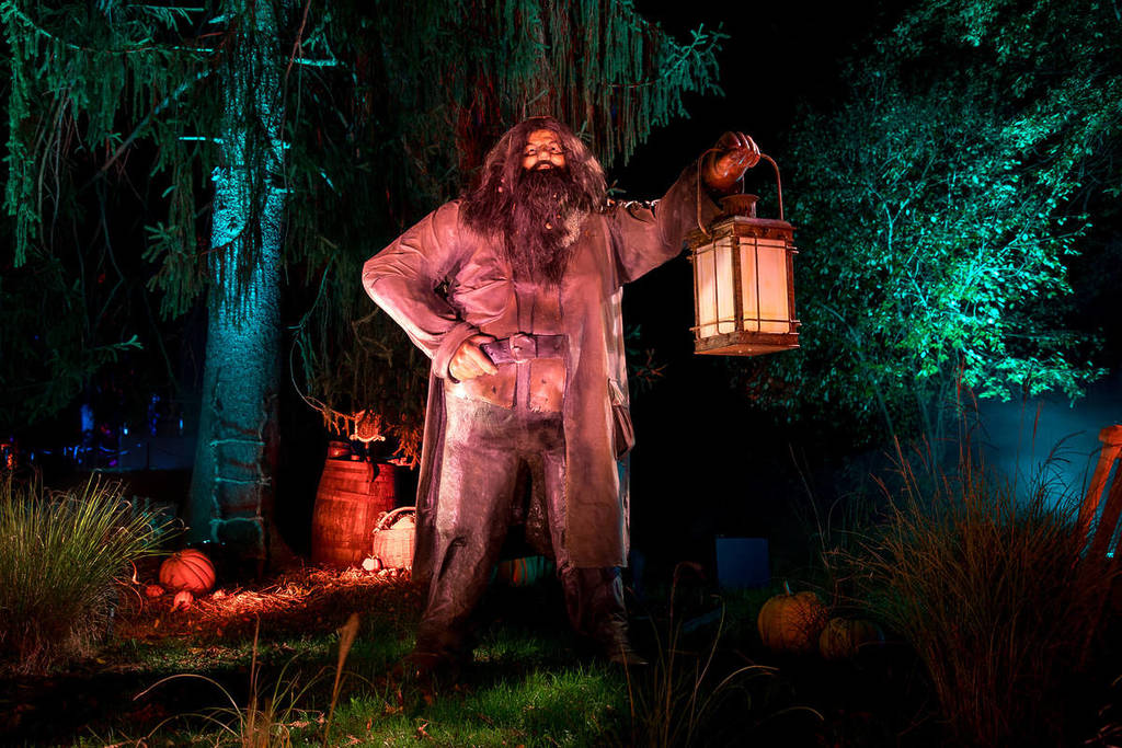 Hagrid holds out a lantern at A Forbidden Forest experience.