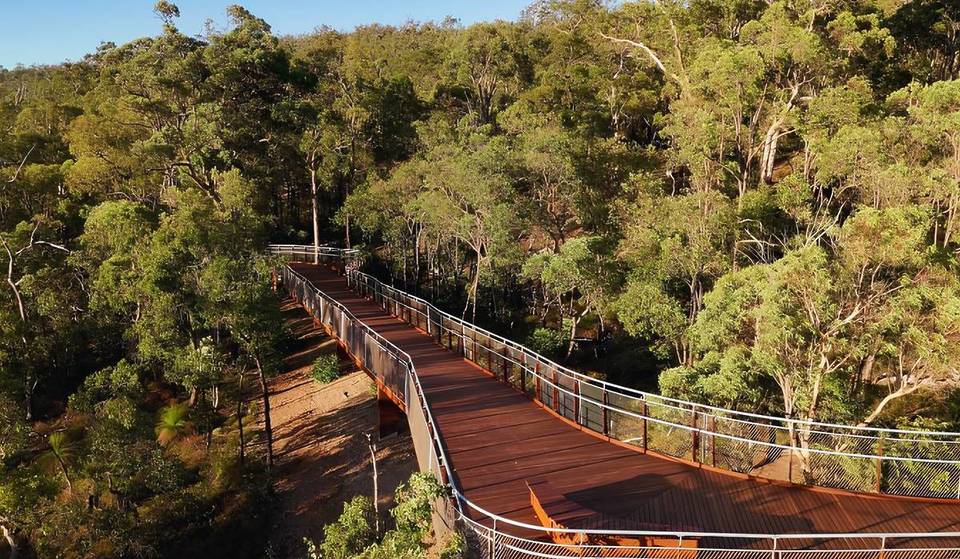 WA’s oldest national park just opened a 250-metre elevated walkway with sweeping views—30 minutes from Perth