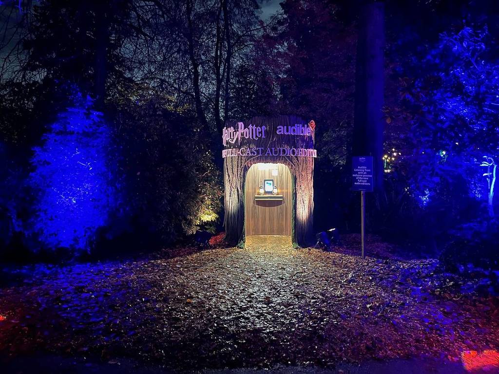 Spend an enchanting evening at Harry Potter: A Forbidden Forest Experience