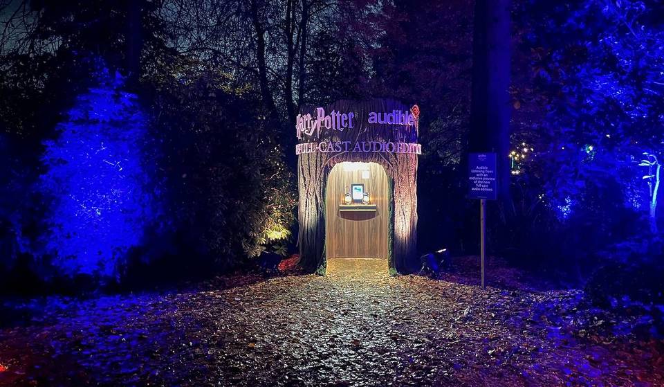 Spend an enchanting evening at Harry Potter: A Forbidden Forest Experience