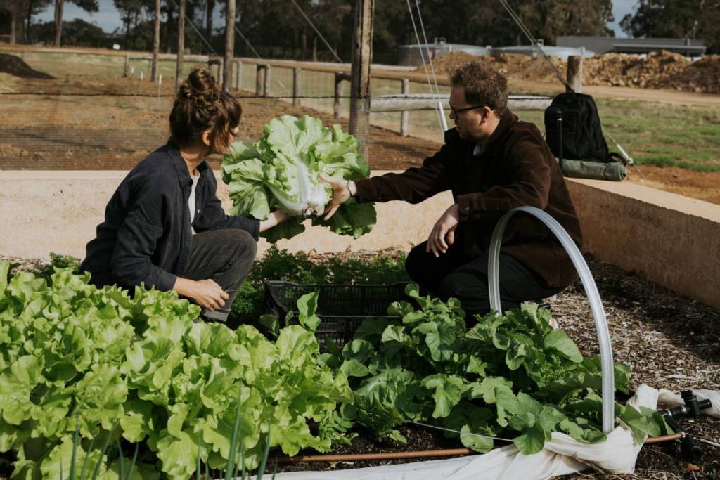 Amy Dyson (Market Gardener), Brendan Pratt (Exec. Chef)