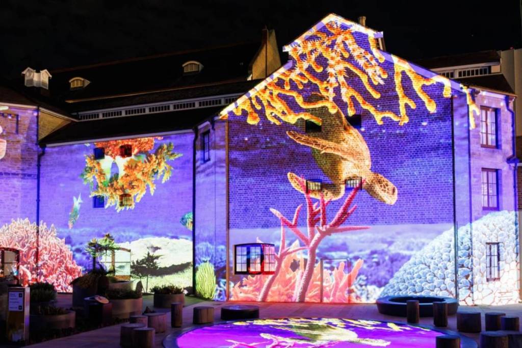 Illuminate exhibition Perth