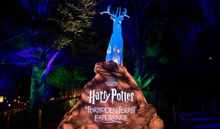 We followed the lanterns into Harry Potter™: A Forbidden Forest Experience and discovered a world of magic that took our breath away