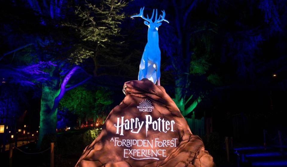 We followed the lanterns into Harry Potter™: A Forbidden Forest Experience and discovered a world of magic that took our breath away