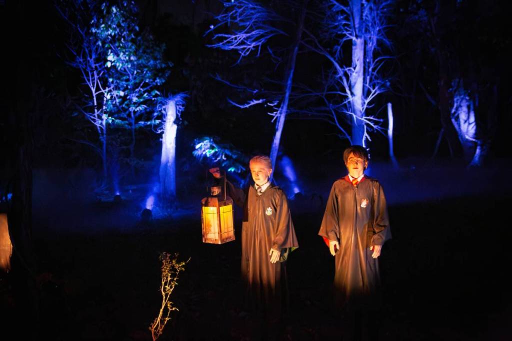 Draco, Harry and Fang during detention in the Forbidden Forest.