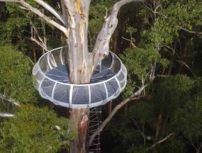 This historic national park landmark just under four hours from Perth has unveiled a massive upgrade – featuring a steep 12-storey climb